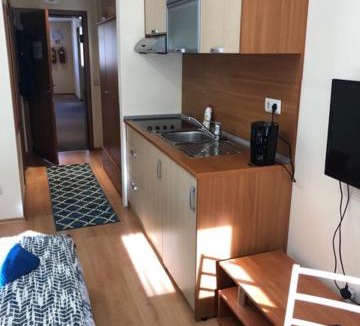 Borovets Apartment | Studio Luxe Villa Park