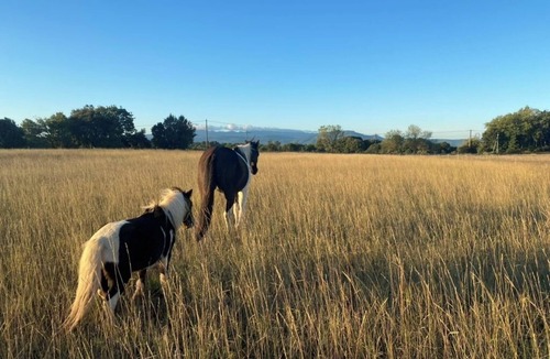 Jouques Apartment | Studio Maya surrounded by nature and horses