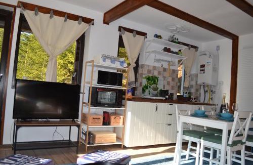 Azuga Apartment | Studio Mirage@Snow Residence (ski & forest)