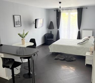 Les Pavillons-sous-Bois Apartment | Studio Moderne Zen