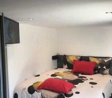 Meyzieu Apartment | Studio Moovy Proche Stade Groupama, LCLD ARENA , Eurexpo Lyon