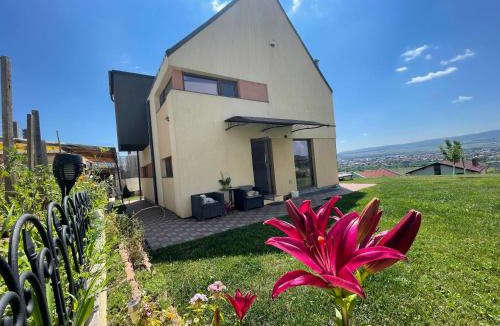 Cluj-Napoca Apartment | Studio or Panoramic Villa with hydro tube extracost for Electric and Untold
