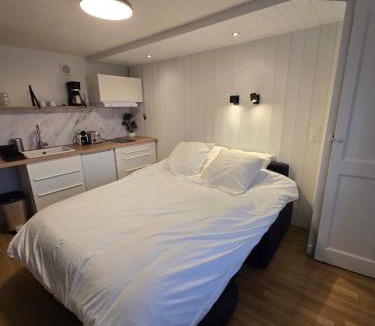 Saint-Jean-d'Ardieres Apartment | Studio proche de la gare