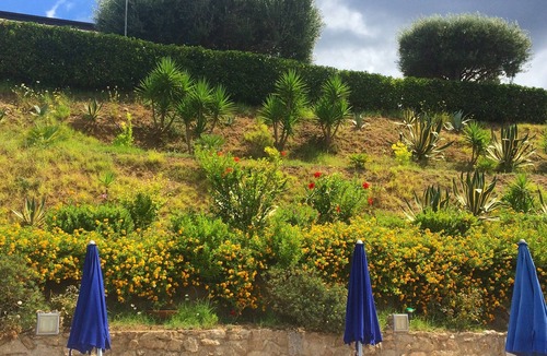 Drapia Apartment | Studio, Pool, Garden & View, 4 km from Tropea