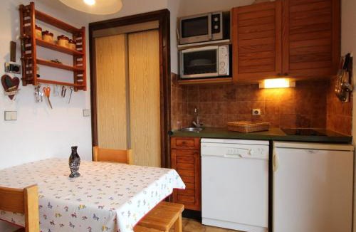Les Carroz-d'Araches Apartment | Studio pour 4 personnes avec balcon et équipements, au pied des pistes et à 550m du village - FR-1-572-157