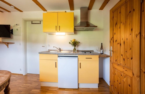 Oberloßnitz Apartment | Studio-Private Bathroom-Vineyard view-Nr. 2