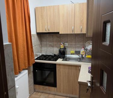 Drobeta-Turnu Severin Apartment | Studio