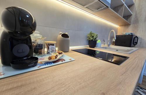 Piatra Neamt Apartment | Studio S23