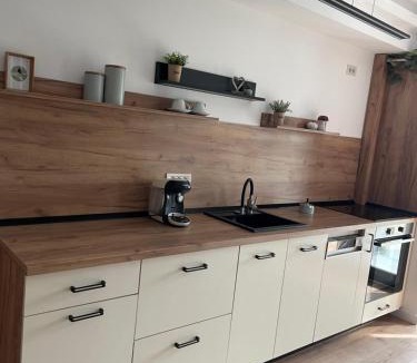 Ramnicu Valcea Apartment | Studio Sara