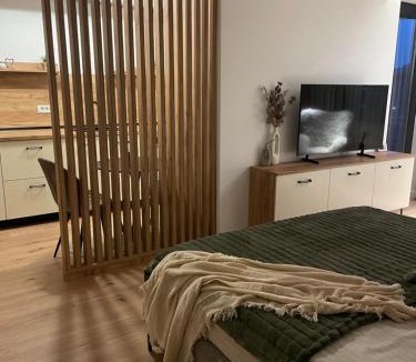 Ramnicu Valcea Apartment | Studio Sara