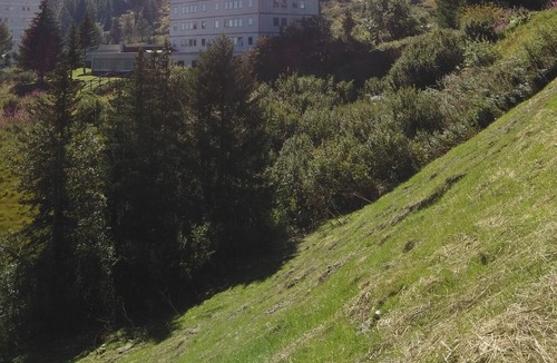 Passo del Tonale Apartment | Studio SettimoCielo 4 beds
