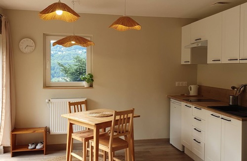 Labaroche Apartment | Studio-Standard-Ensuite with Shower-Mountain view