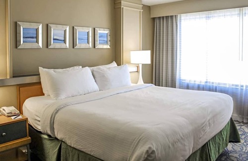Daytona Beach Hotel | Studio Unit | Kitchenette | Tiki Bar | Outdoor Pool Access | Free Parking