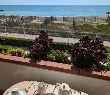Frontignan Apartment | Studio Vue mer, Piscine, Wifi, Climatisation, Parking privé, Terrasse 1ère ligne - La Coulée Douce