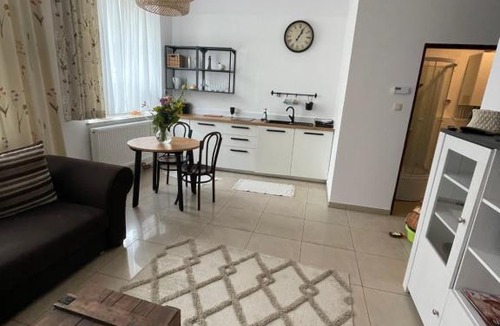 Grudziadz Apartment | Studio w Rynku