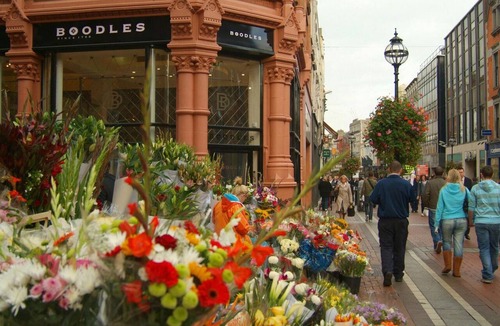 Dublin Apartment | Studio with a view over Dublin, walking distance to city & Dublin Zoo 10 min