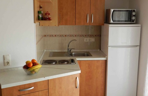 Sveti Vid-Miholjice Apartment | Studio with access to the terrace with sea view
