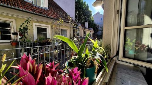 Neubau Apartment | Studio with balcony, In center, AC