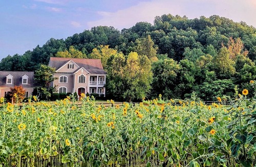Afton Apartment | Studio with mountain views and private entrance near wineries and hiking