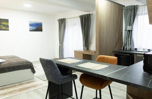 Frasin Apartment | Studio with Parking in Frasin