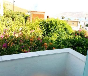 Kalymnos Apartment | Studios Sevasti