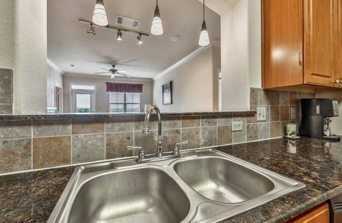 Astrodome Condo | Stunning 2 bed, 2 bath in TX Medical Center