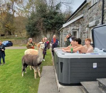 Betws Gwerfil Goch House | Stunning Barn Conversion with HOT TUB and ALPACAS - Ty Cerrig Barn