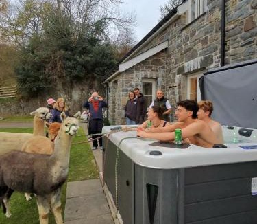 Betws Gwerfil Goch House | Stunning Barn Conversion with HOT TUB and ALPACAS - Ty Cerrig Barn