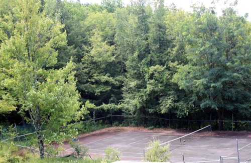 Lexington House | Stunning Custom Built Lodge on Secluded Streamside Acreage w/Breathtaking Views