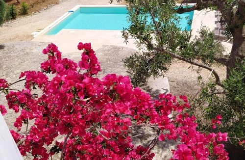 Carovigno Villa | Stunning Distant sea views, Immersed in olive trees with PRIVATE POOL built 2021