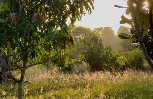 Ho Tram House | Stunning Eco-Friendly Retreat in Nature (Pet-Friendly!)