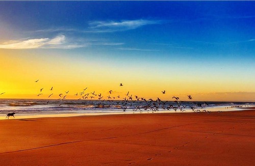 Chapel Saint Leonards House | Stunning Holiday Cottage nr Skegness in Sunny Chapel St Leonards Just mins from the Beach & Attractions - Perfect for Couples & Family's who love to Relax but want Exciting Adventures nearby! Large Pet Friendly garden!