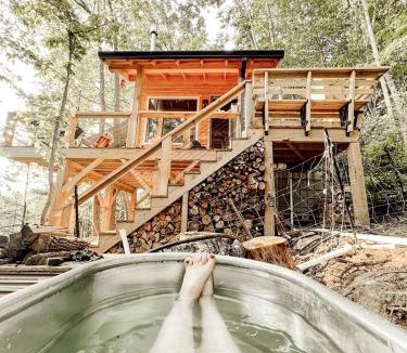 Canton House | Stunning Pet-Friendly Treehouse for Relaxing Glamping Retreats in North Carolina