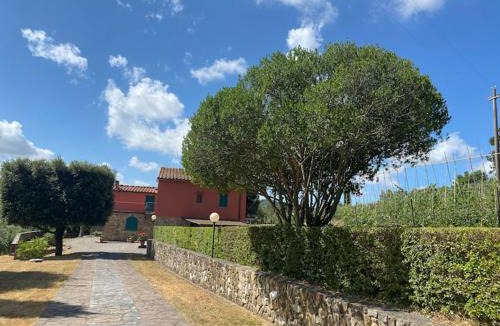 Crespina Villa | Stunning Tuscan Farm House with an Olive Grove
