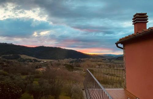 Crespina Villa | Stunning Tuscan Farm House with an Olive Grove
