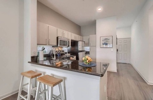 Bouldin Apartment | Stunning View! Steps to Downtown, 6th St & Rainey!