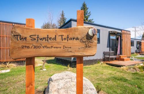 Twizel House | Stunted Totara, Unit 3