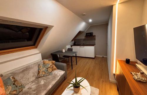 Botnang-Ost Apartment | Stuttgart Nest