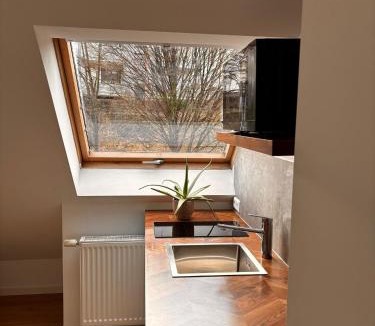 Botnang-Ost Apartment | Stuttgart Nest