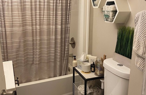 Akron House | Stylish and comfortable! House close to downtown Akron.
