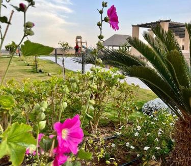 Village Road Apartment | Stylish pool view Studio in Al Dau Height’s