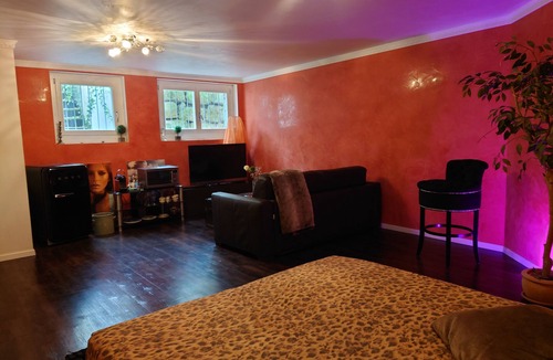 Birmenstorf Apartment | Stylish studio 5 minutes from the ABB research center and the hospital.