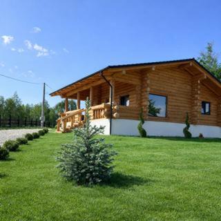 Vulcan Ski Chalet | Sub Stele Chalets
