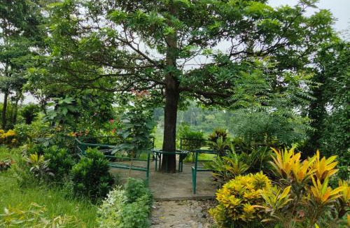 Damak Resort | Sudarshan Resort