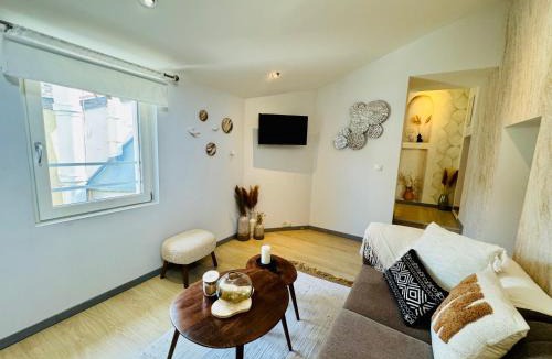 Les Cordeliers Apartment | Suite Erasmus