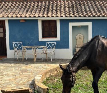 Santiago do Cacem Bed & Breakfast | Suite no campo