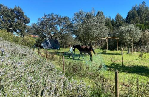 Santiago do Cacem Bed & Breakfast | Suite no campo