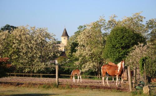 Castres-Gironde House | Suite privative - Domaine du Plantey