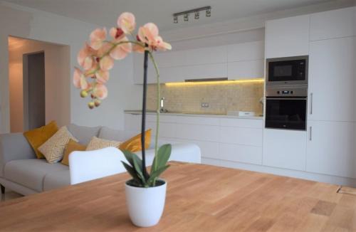 Lomo Quiebre Apartment | Suite Ribera del Puerto