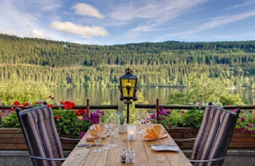 Hinterzarten Apartment | Suite with shower/WC